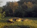 IMG070